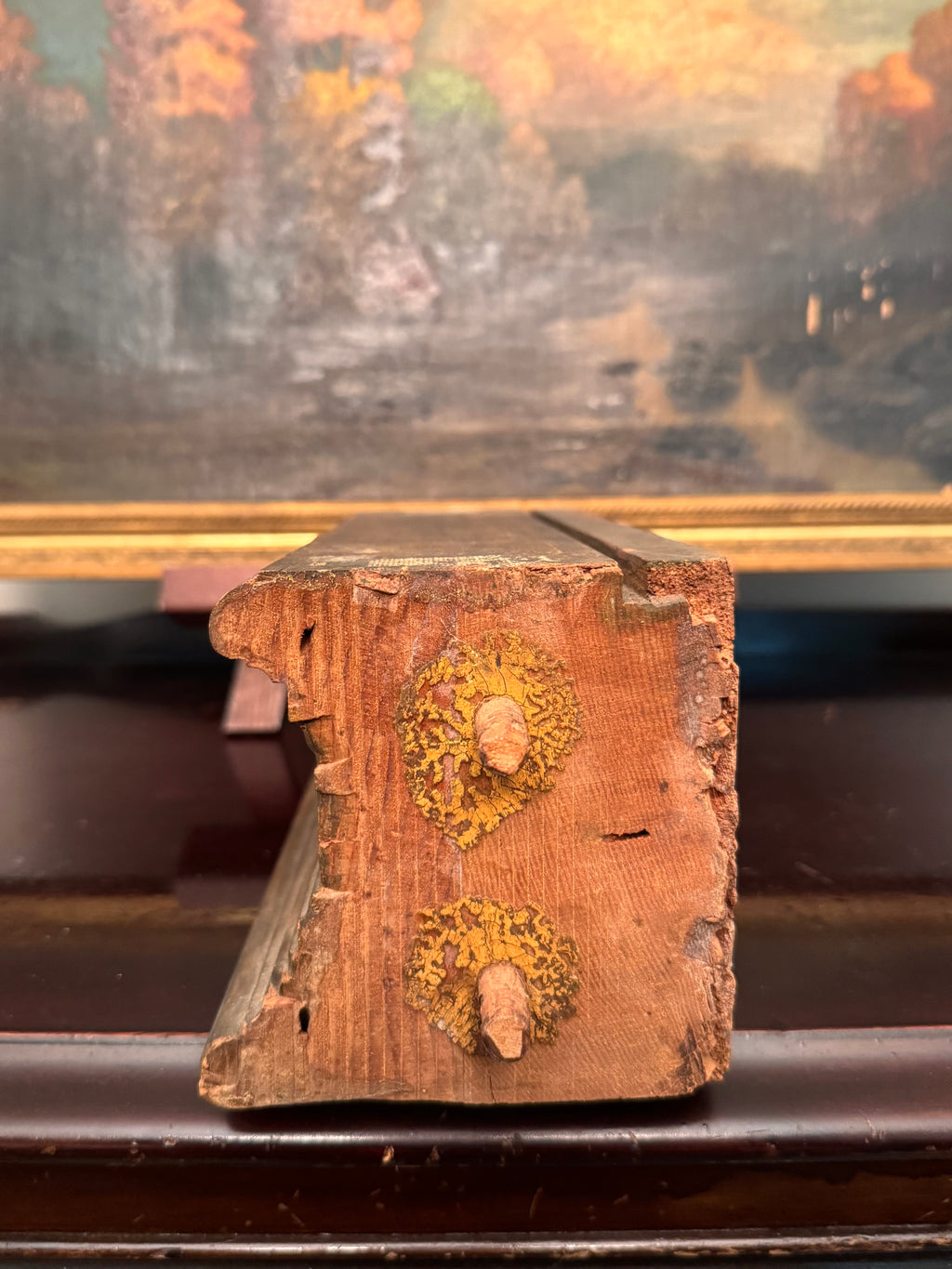 Antique Victorian Gilt Wood Architectural Riser | Salvaged Pedestal Block | Pegs on Right | 11.5”