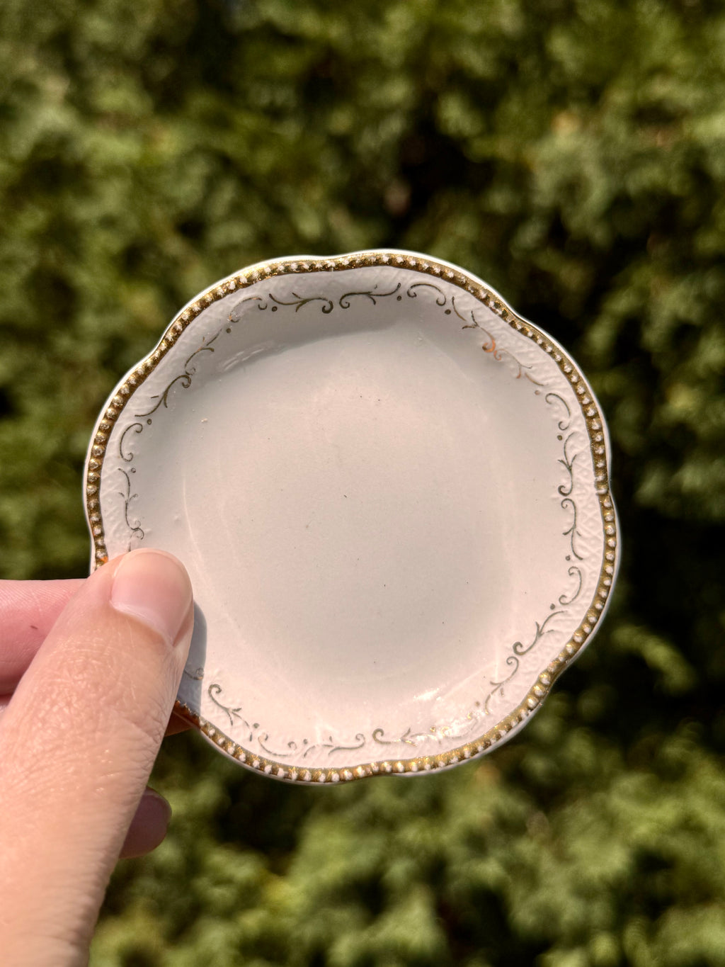 Antique English Gold Trim Butter Pats by A.J. Wilkinson | Set of 6