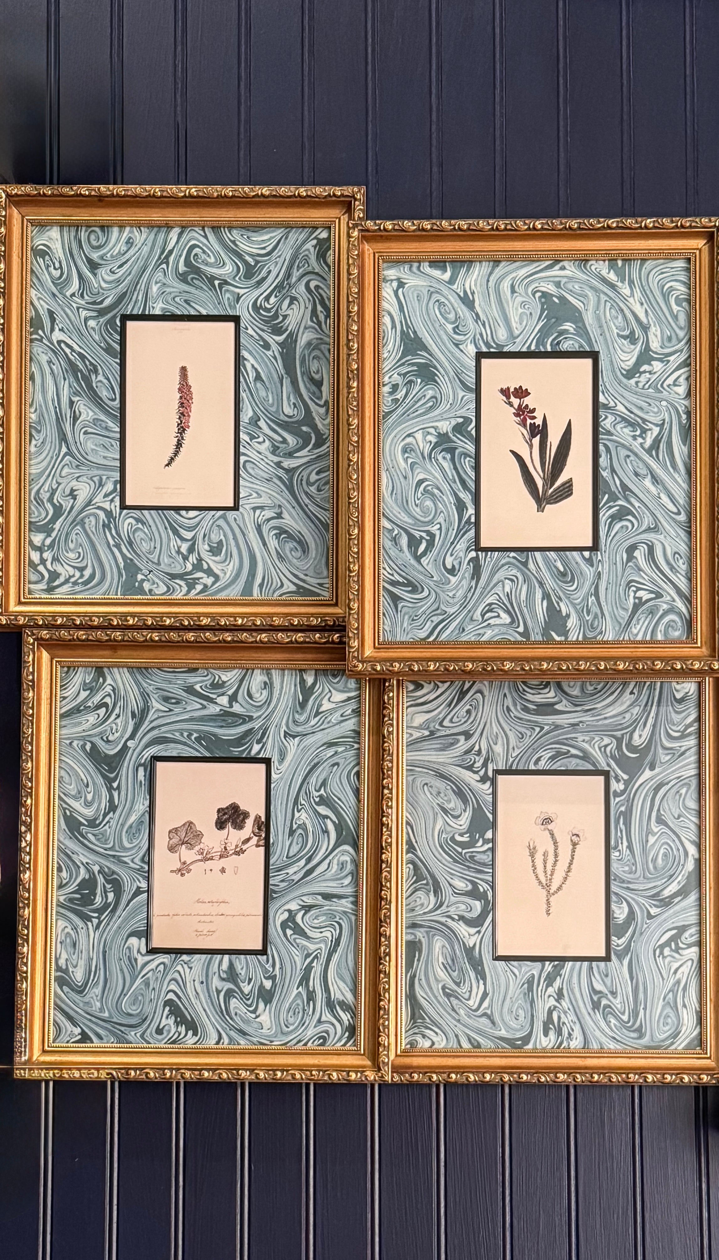 Set of Four Vintage Matted Botanical Bookplate Prints | Professionally Framed Botanical Wall Art | Gold-Gilded Frames