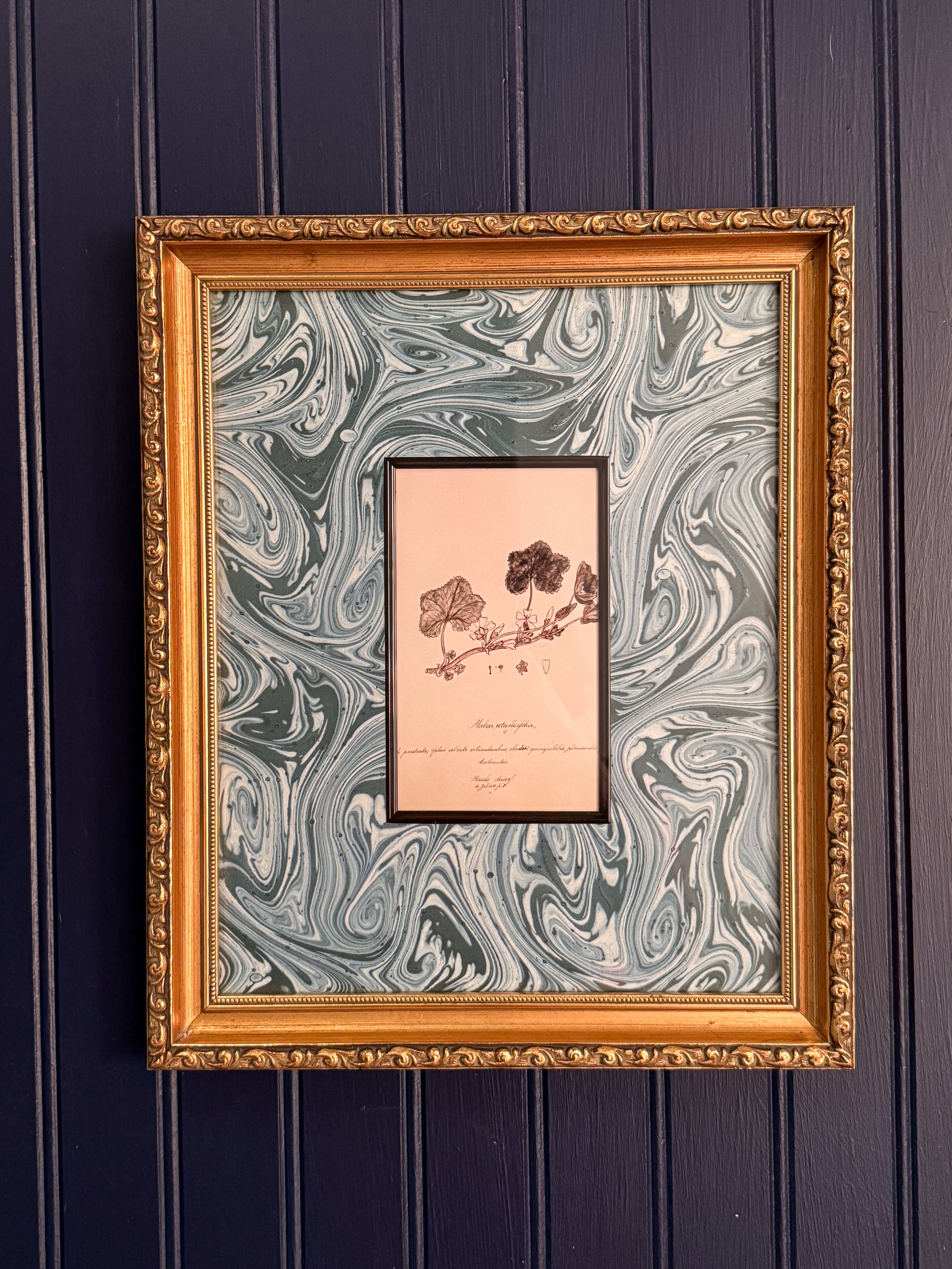 Set of Four Vintage Matted Botanical Bookplate Prints | Professionally Framed Botanical Wall Art | Gold-Gilded Frames