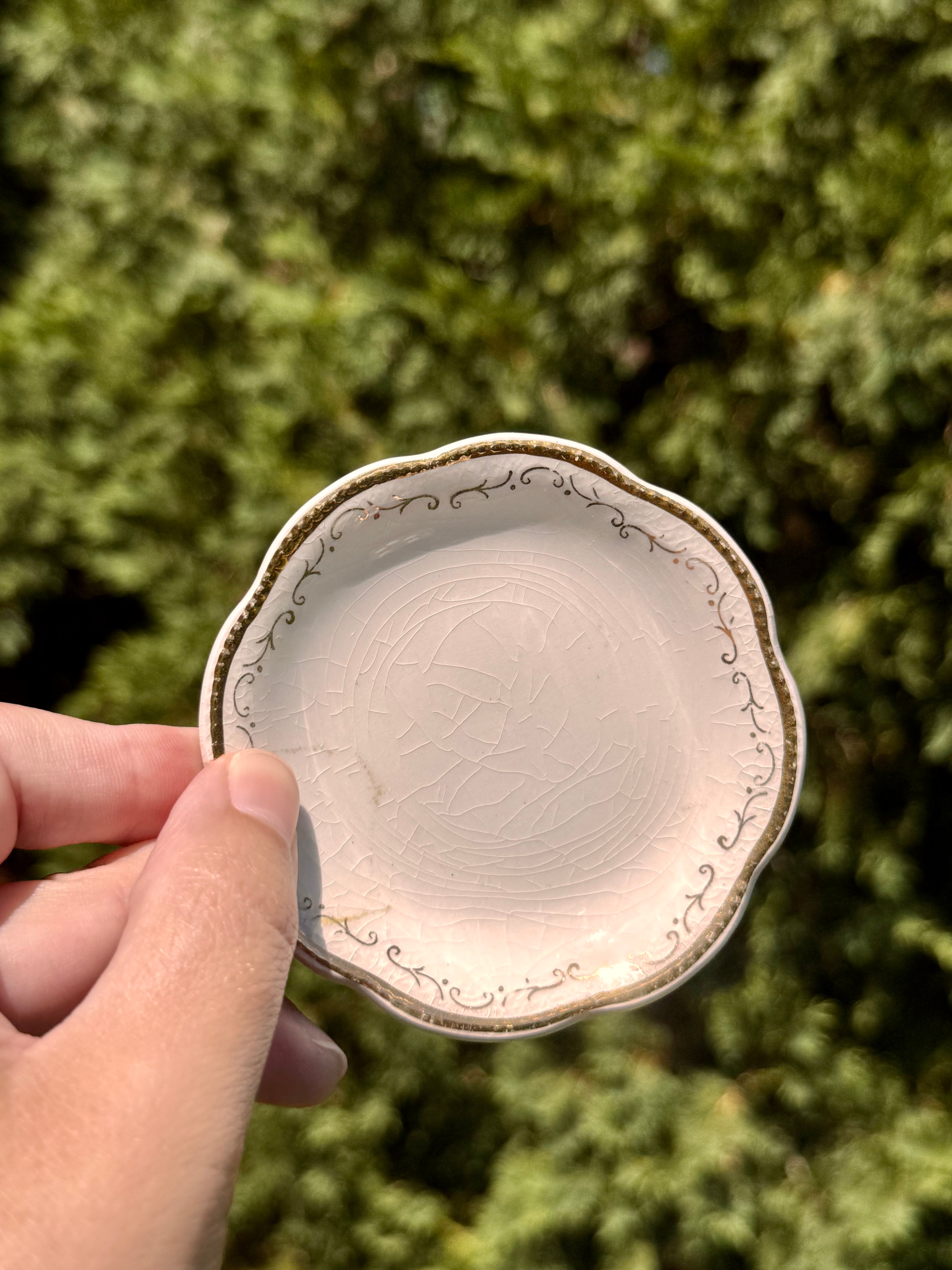 Antique English Gold Trim Butter Pats by A.J. Wilkinson | Set of 6