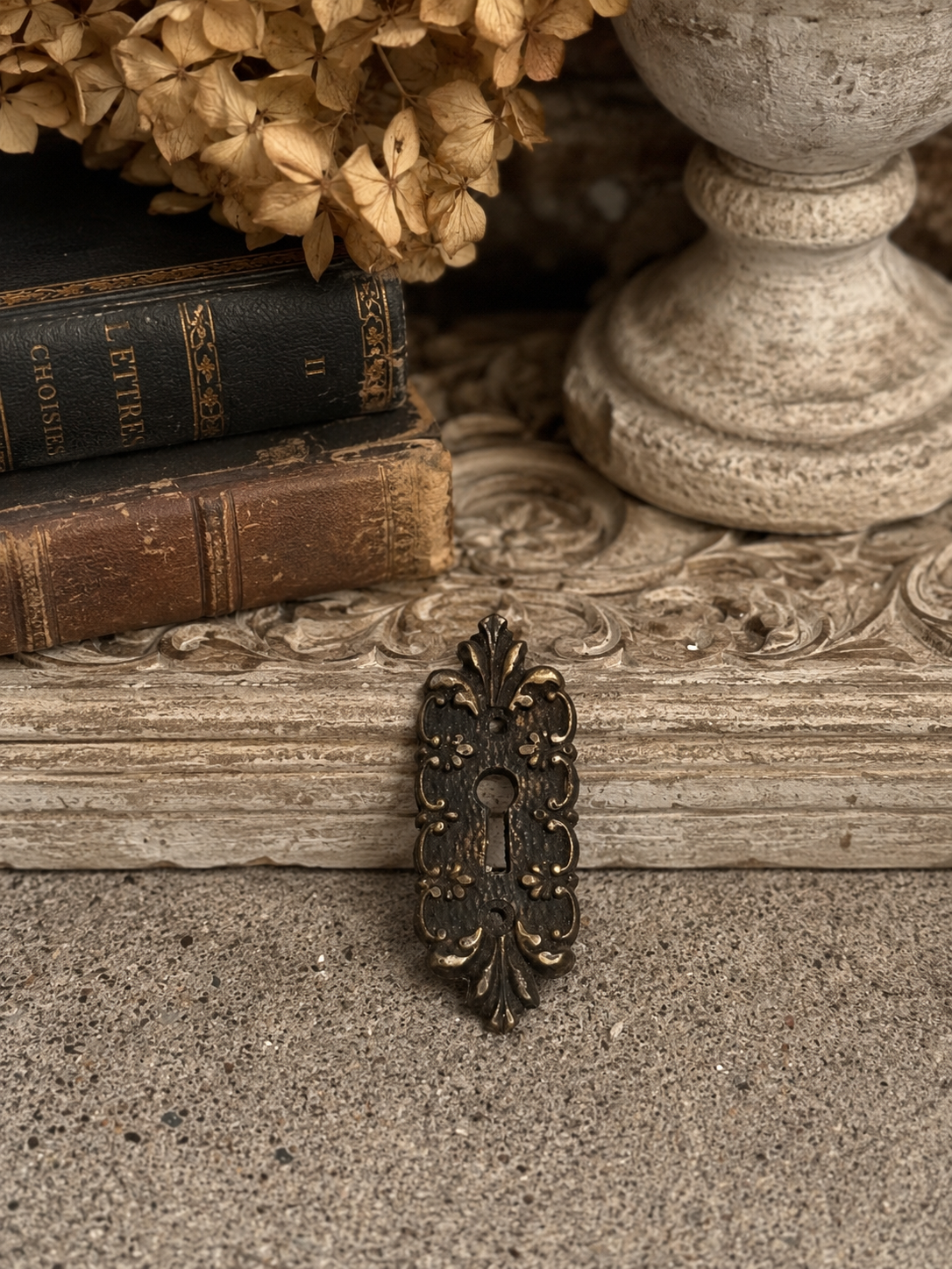 French Ornate Keyhole Escutcheon | Cast Metal Furniture Mount | Architectural Fragment