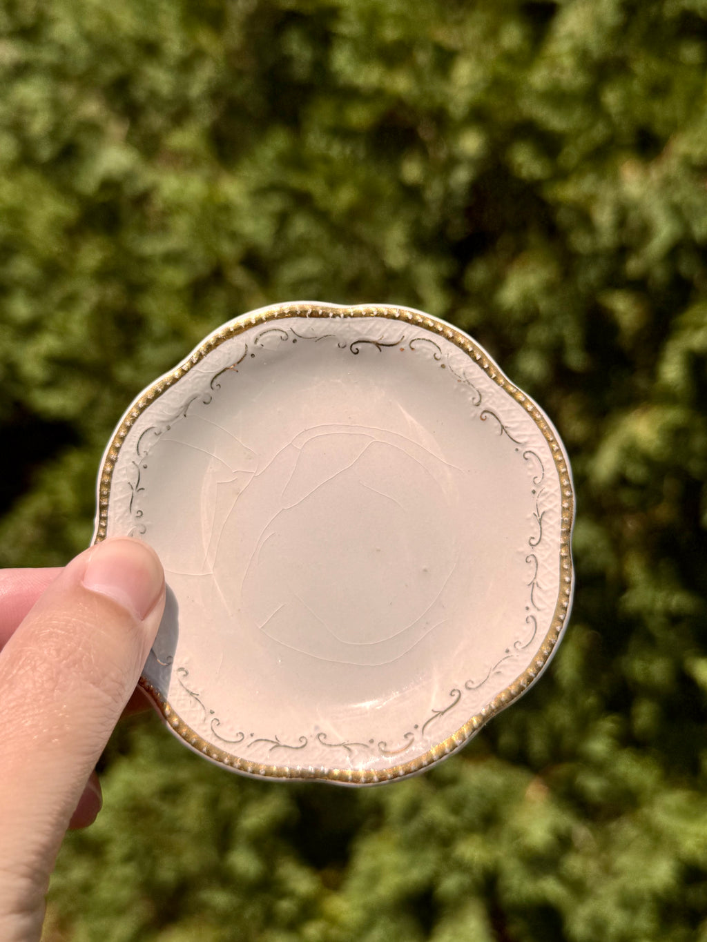 Antique English Gold Trim Butter Pats by A.J. Wilkinson | Set of 6