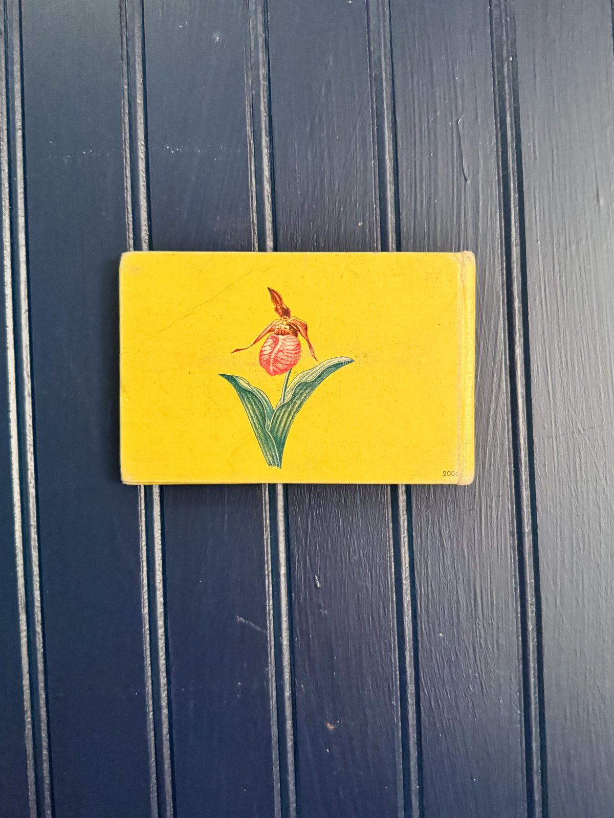 Vintage Woodland Flowers Pocket Field Guide | T.H. Everett