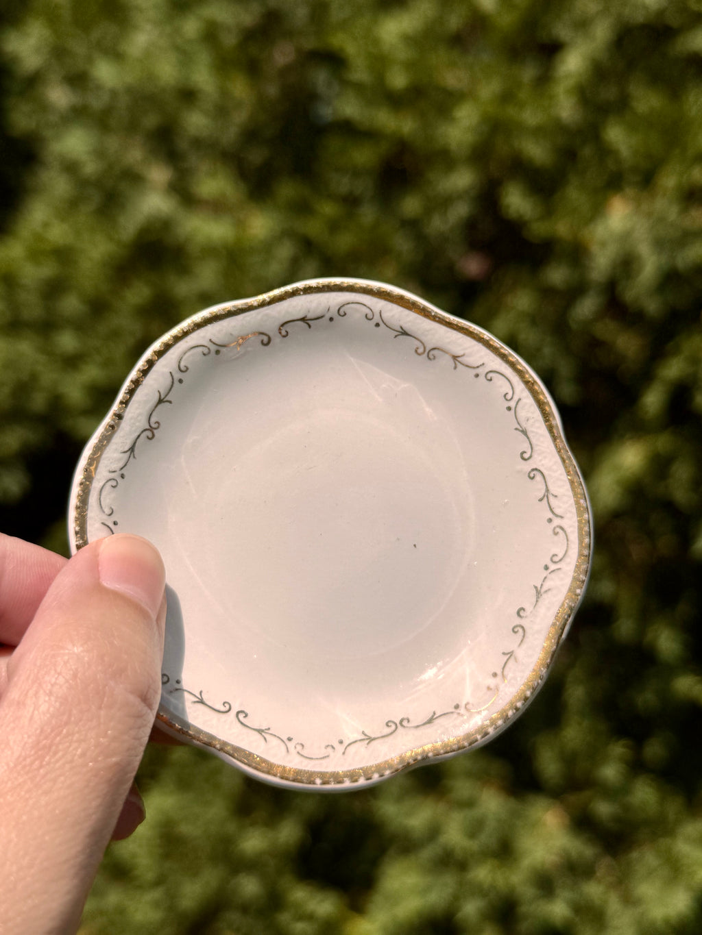 Antique English Gold Trim Butter Pats by A.J. Wilkinson | Set of 6