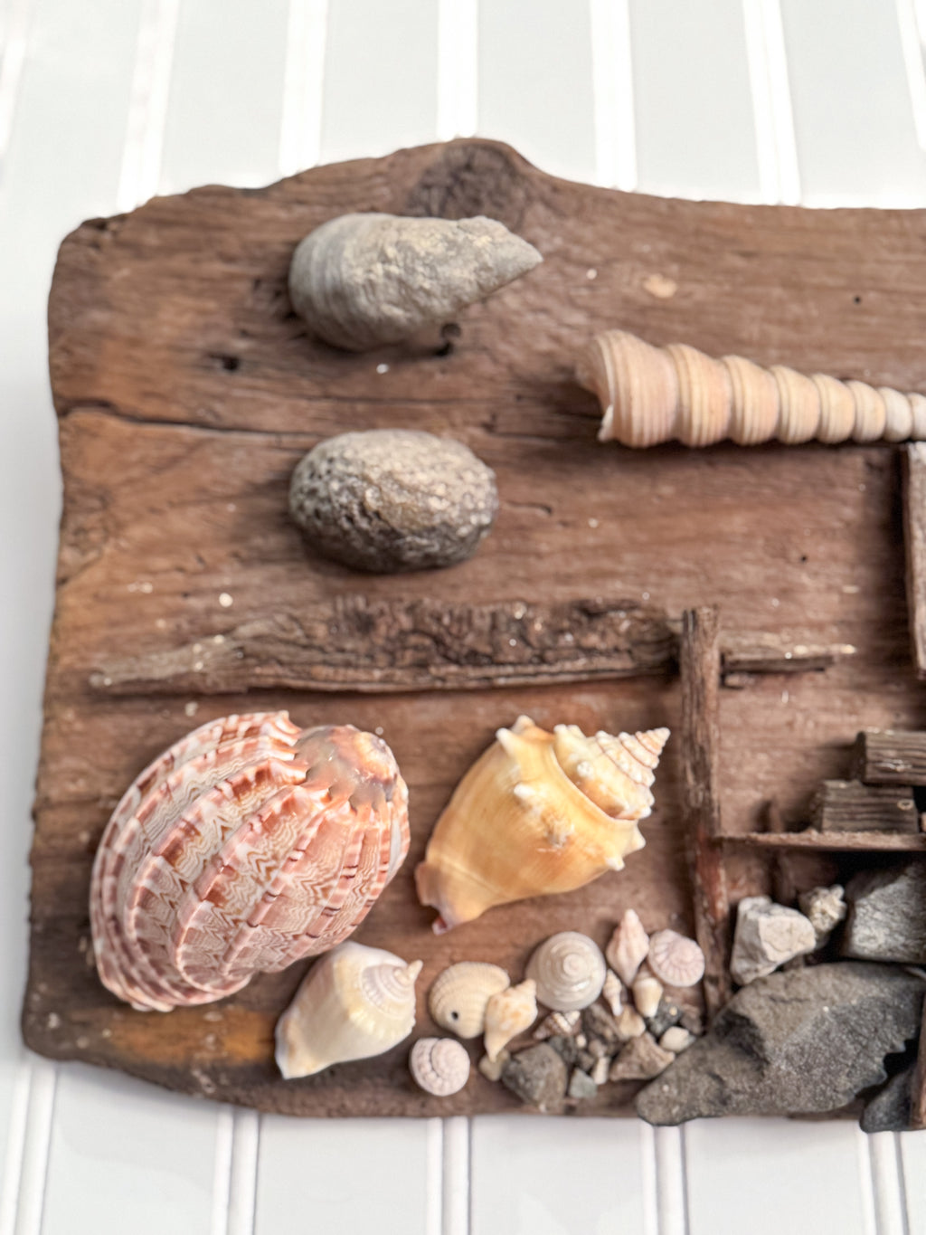 Handmade Coastal Folk Art Wall Sculpture | Driftwood & Seashell Village