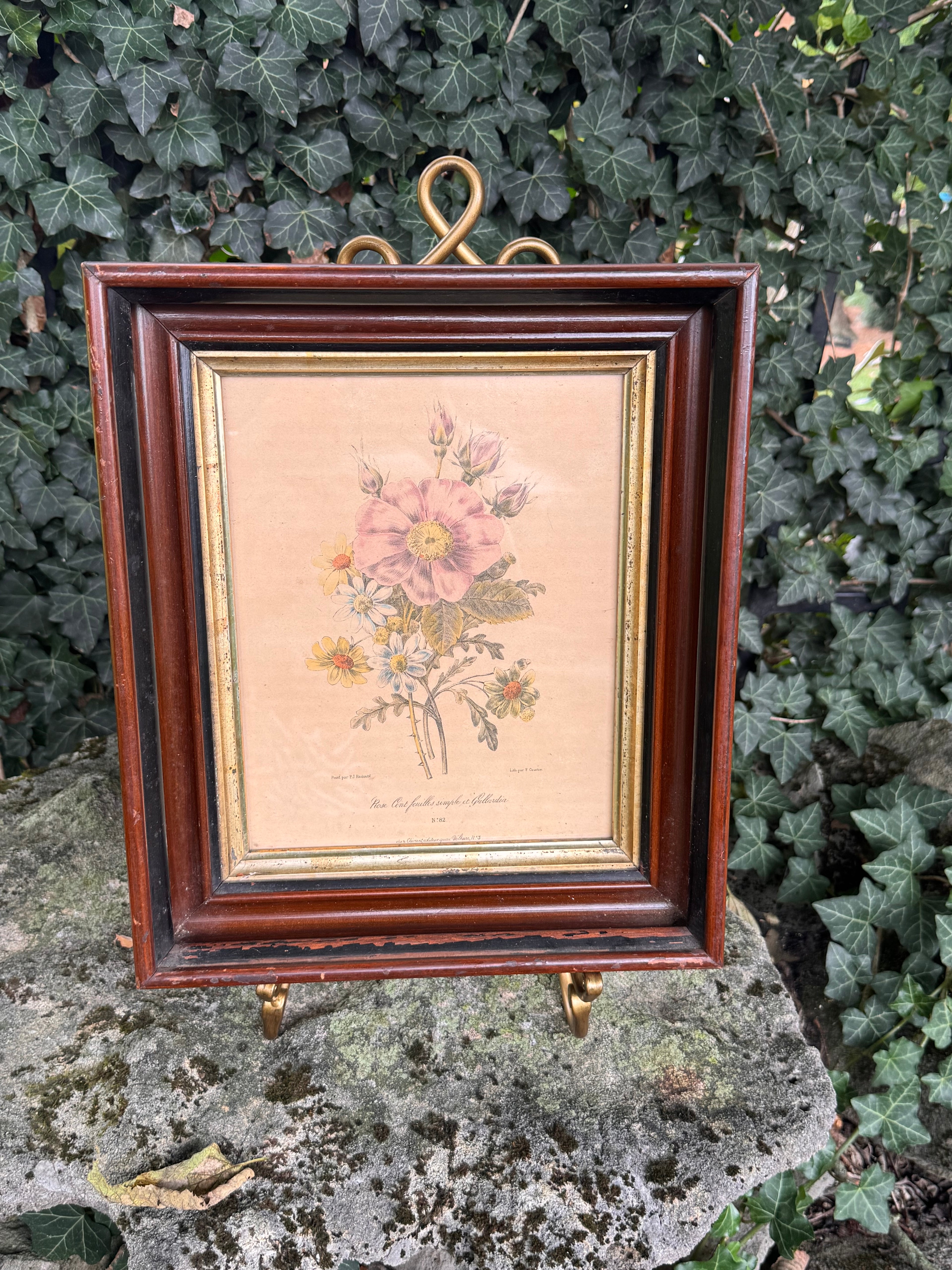 Antique Framed Pierre-Joseph Redouté Botanical Print | Rose Cent Feuilles Simple et Gaillardia | Hand-Colored French Lithograph