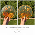 Vintage Pressed Flower Lucite Trivet