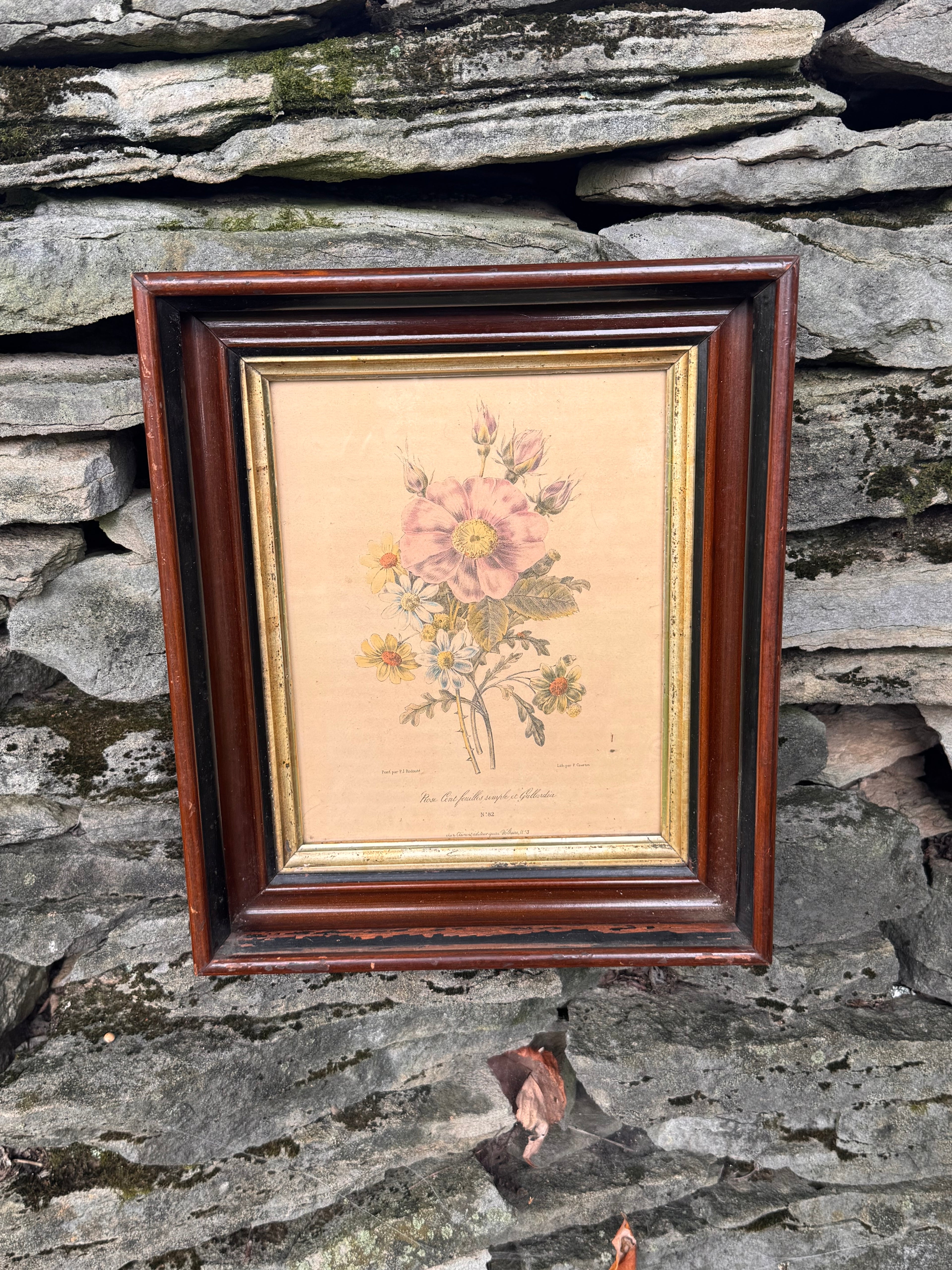 Antique Hand-Colored French Botanical Print | Rose d’Amour et Souci de la Vigne | Framed Floral Study