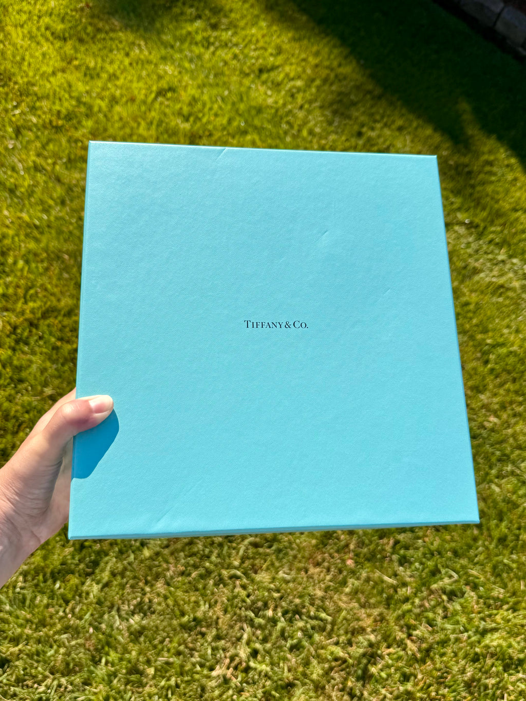 Tiffany & Co. Crystal Stemware Set with Original Tiffany Blue Box