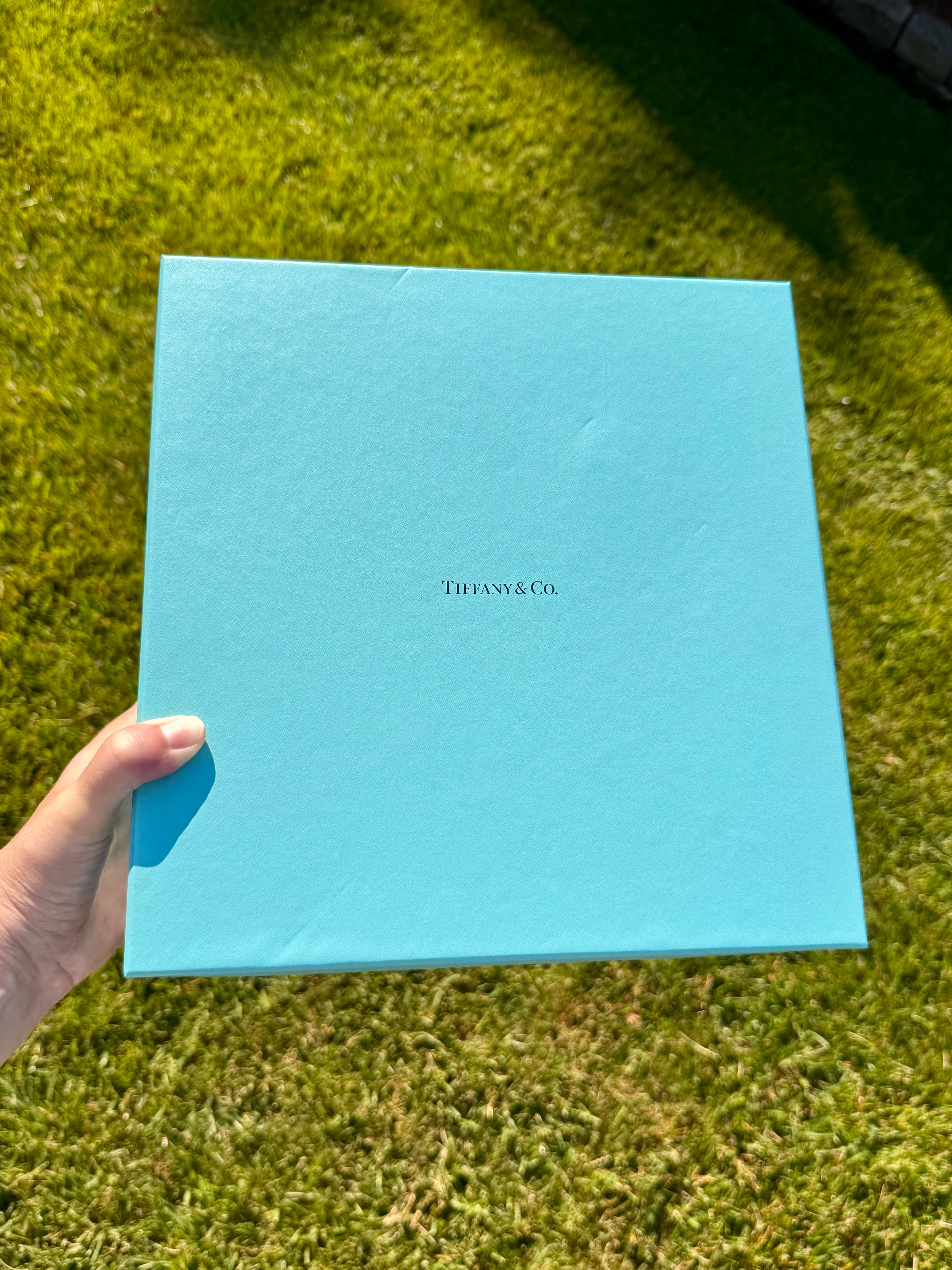 Tiffany & Co. Crystal Stemware Set with Original Tiffany Blue Box