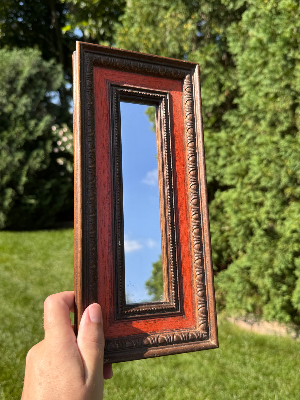 Vintage Rectangular Wood Accent Mirror with Carved Frame