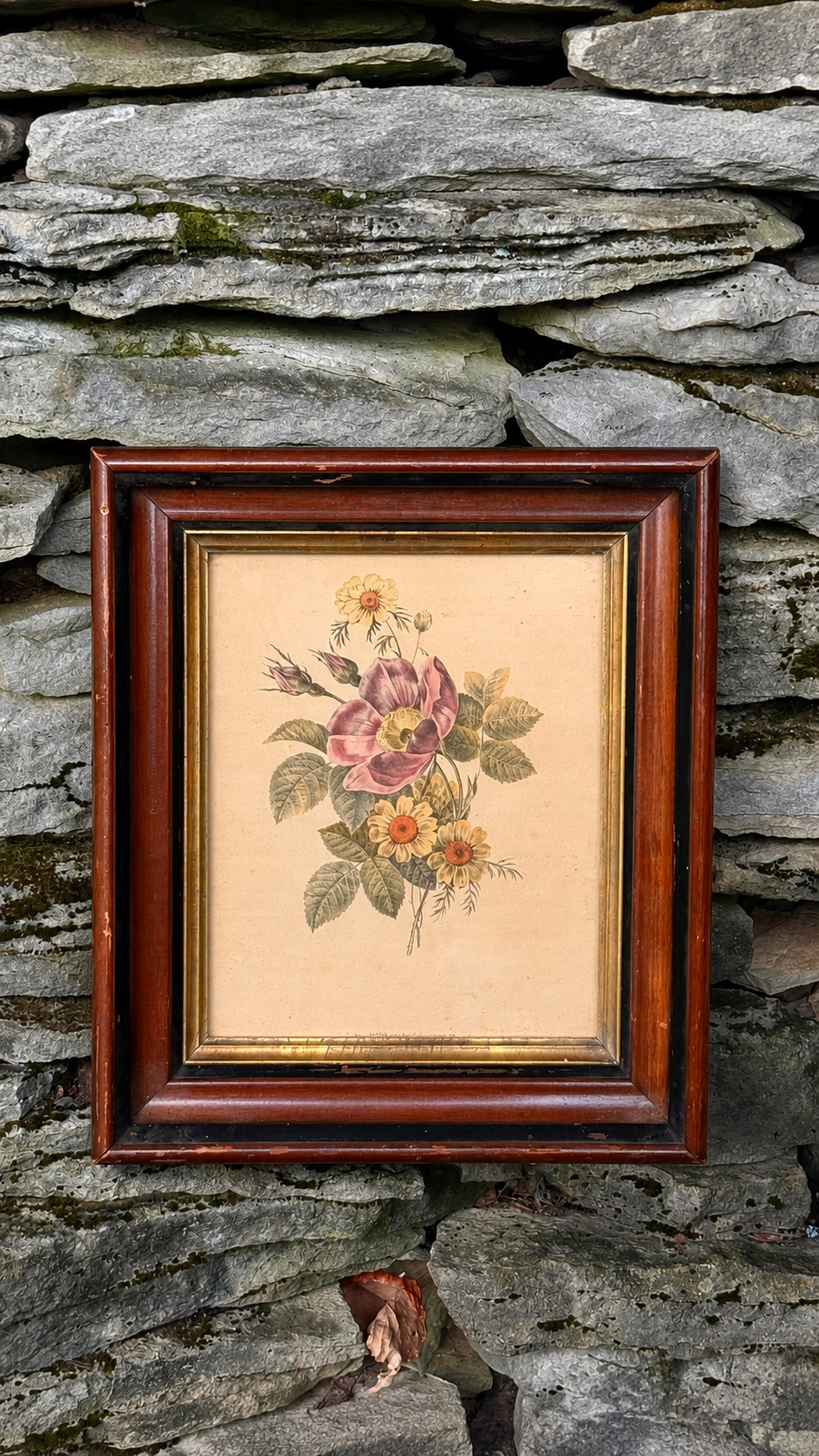 Antique Hand-Colored French Botanical Print | Rose d’Amour et Souci de la Vigne | Framed Floral Study