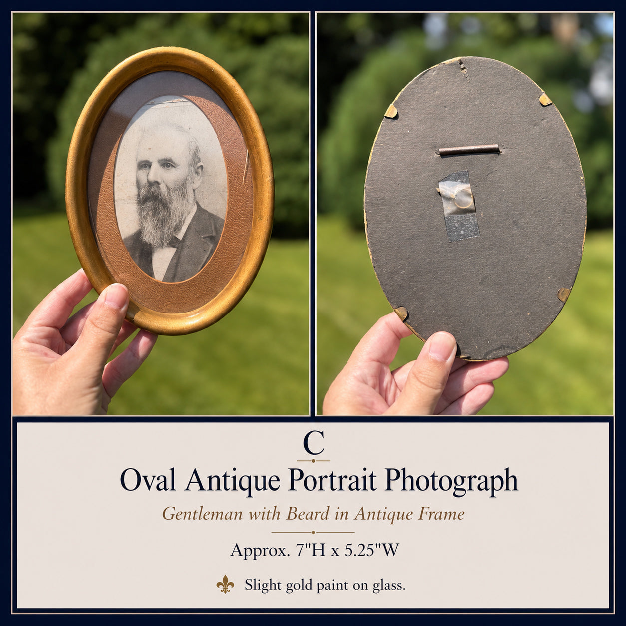 Antique Oval Gentleman Portrait Photograph in Ornate Frame