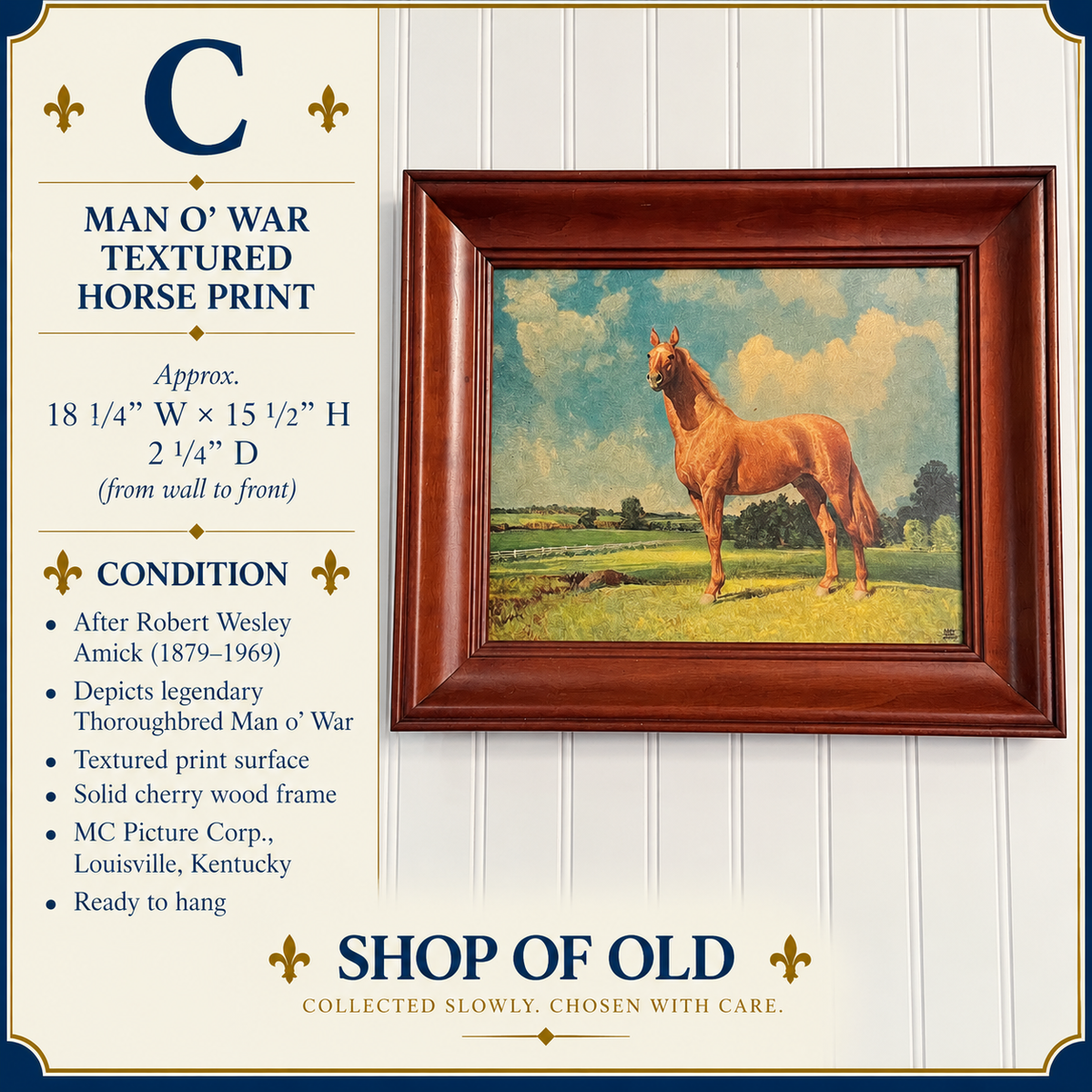 Vintage Man o’ War Horse Print After Robert Wesley Amick | Solid Cherry Frame
