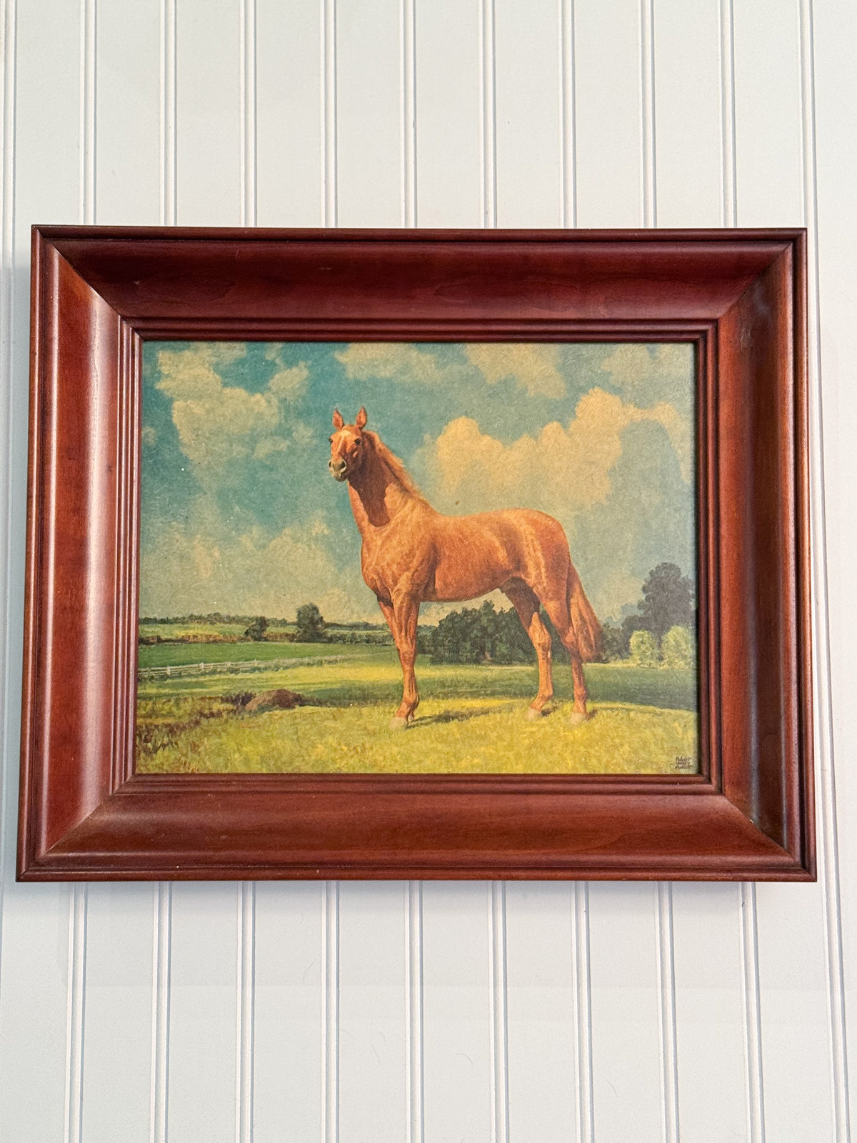 Vintage Man o’ War Horse Print After Robert Wesley Amick | Solid Cherry Frame
