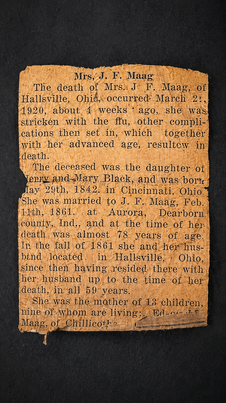 Antique Portrait of Mrs. J. F. Maag with Original Newspaper Clippings, Cincinnati Ohio Provenance