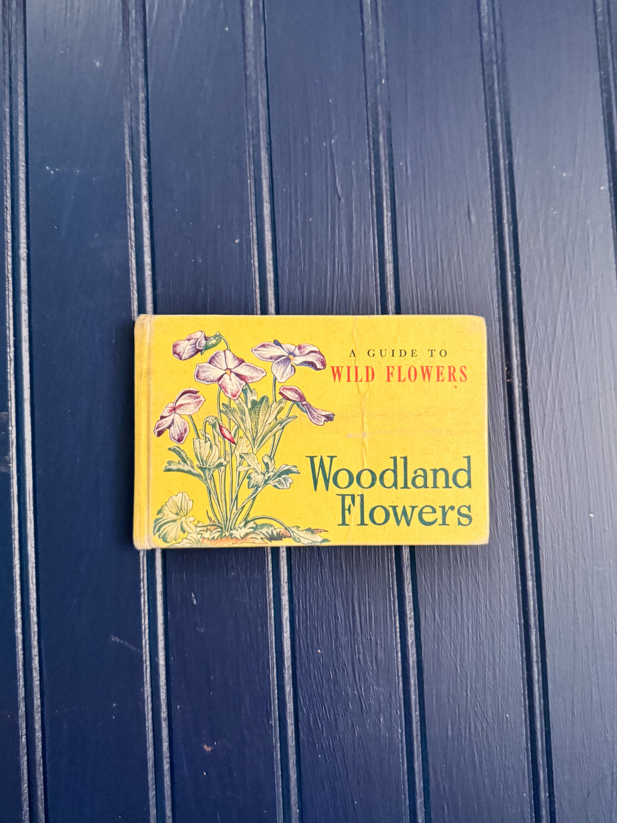 Vintage Woodland Flowers Pocket Field Guide | T.H. Everett