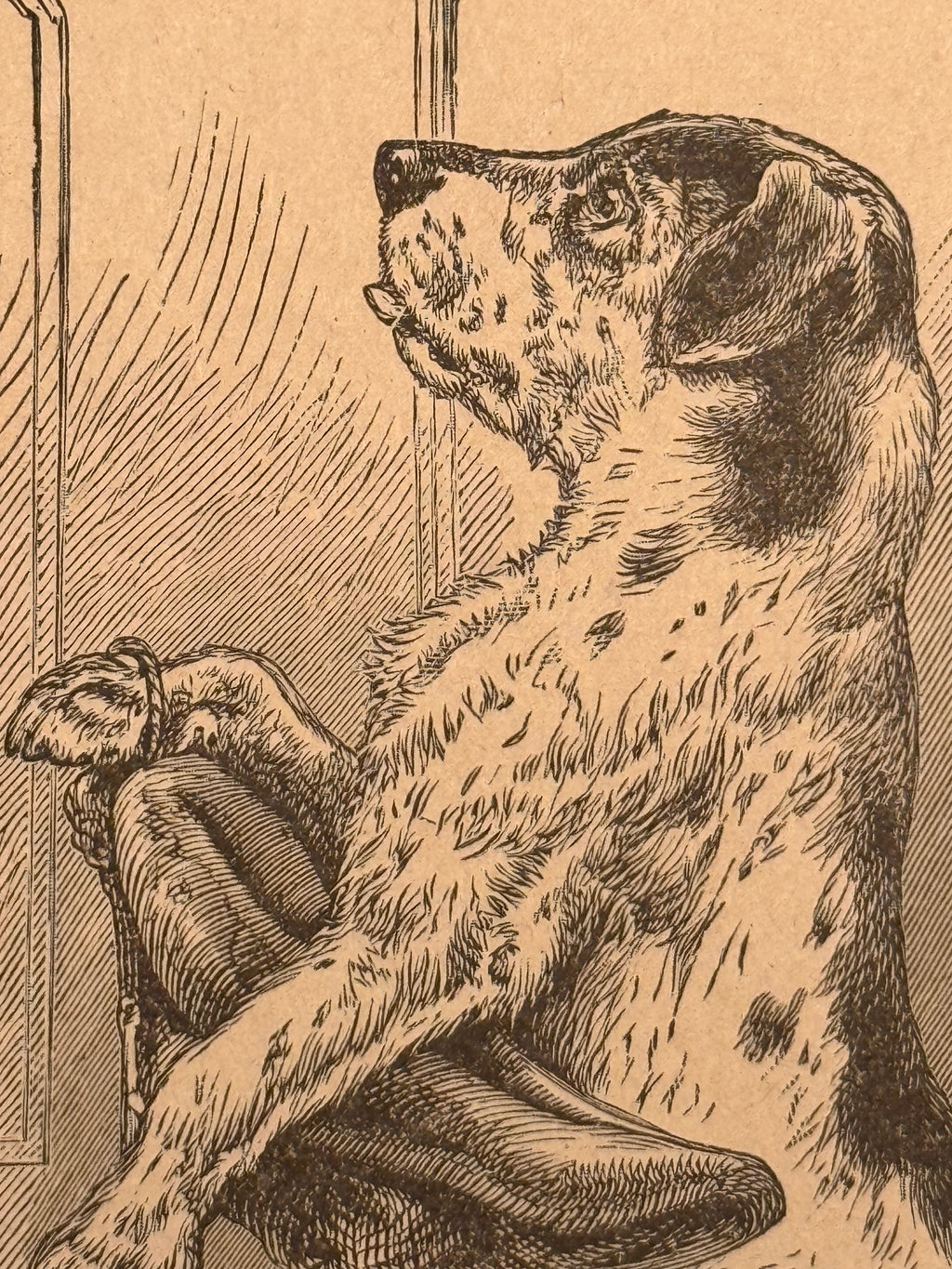 Antique Dog Book Plate Engraving Framed in Ornate 11x14 Gold-Silver Frame