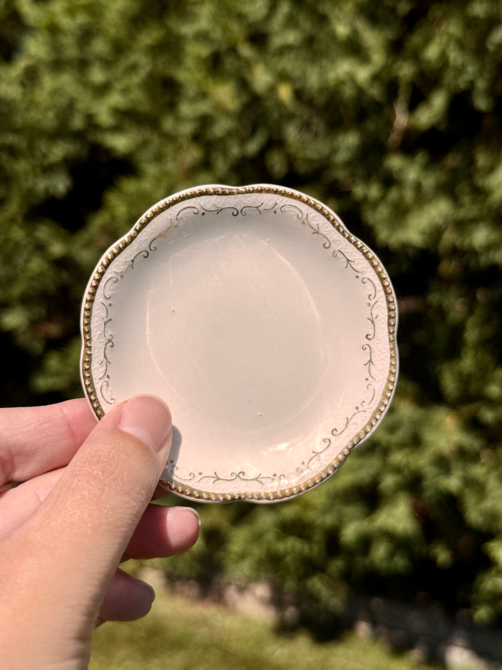 Antique English Gold Trim Butter Pats by A.J. Wilkinson | Set of 6