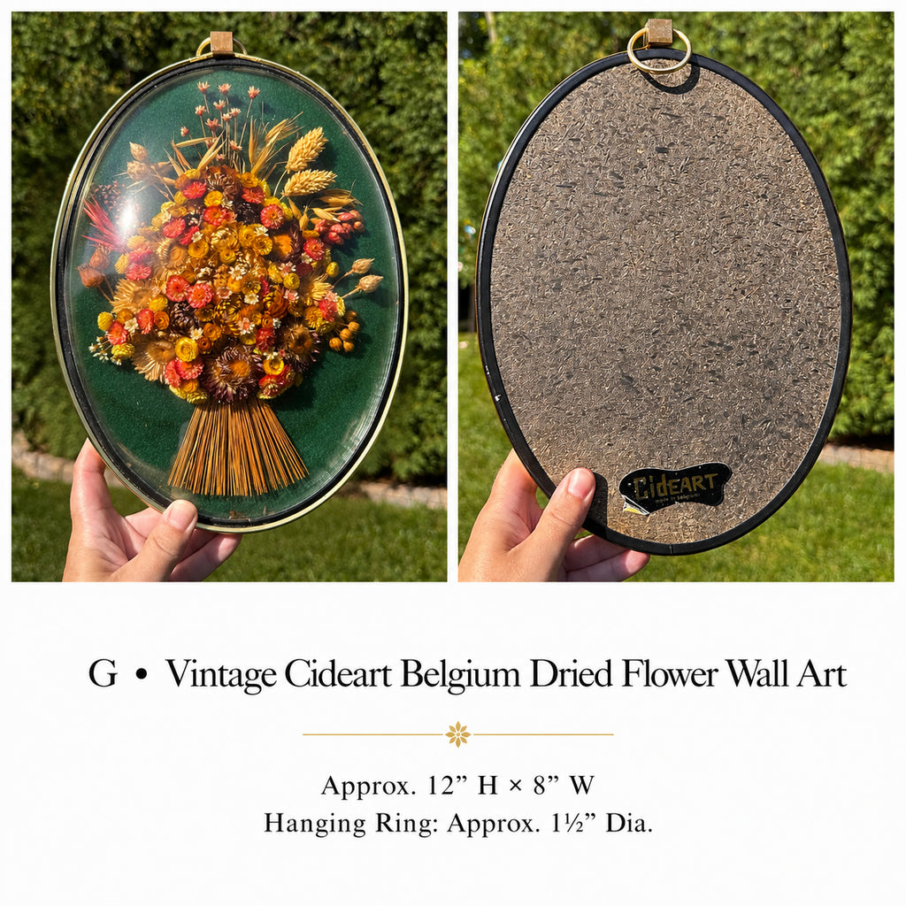 Vintage Cideart Belgium Dried Flower Wall Art
