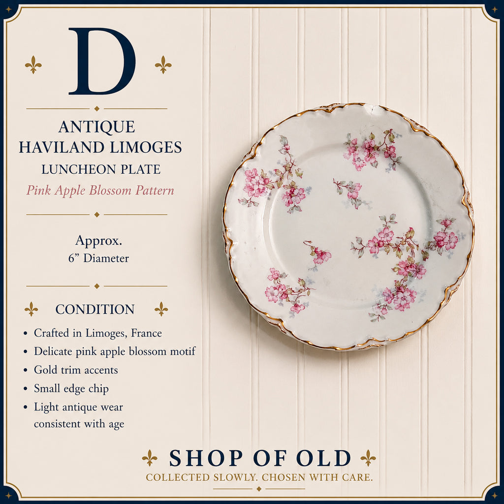 Antique Haviland Limoges Pink Apple Blossom Luncheon Plate | French Porcelain