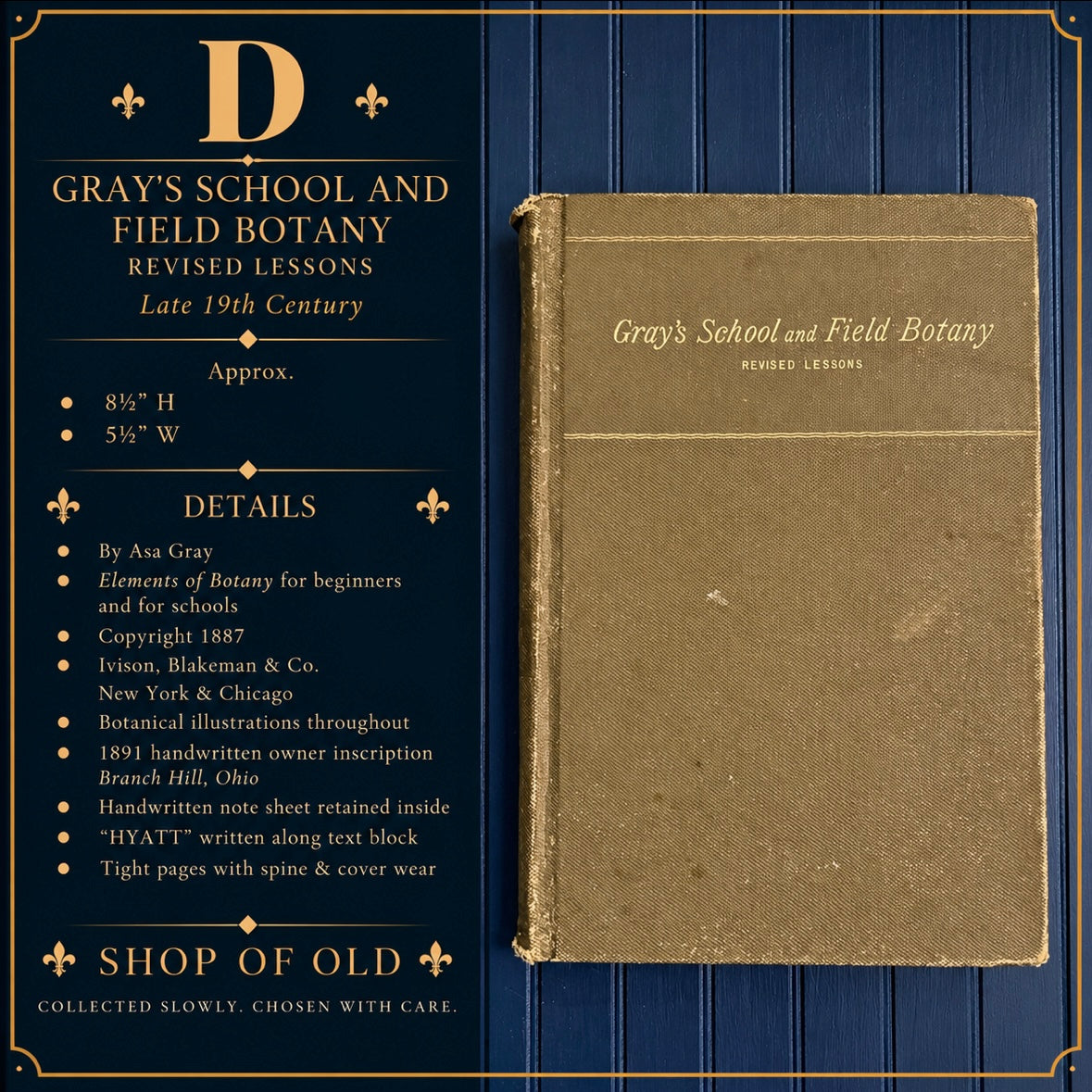Antique Gray’s School and Field Book of Botany | Asa Gray 1887