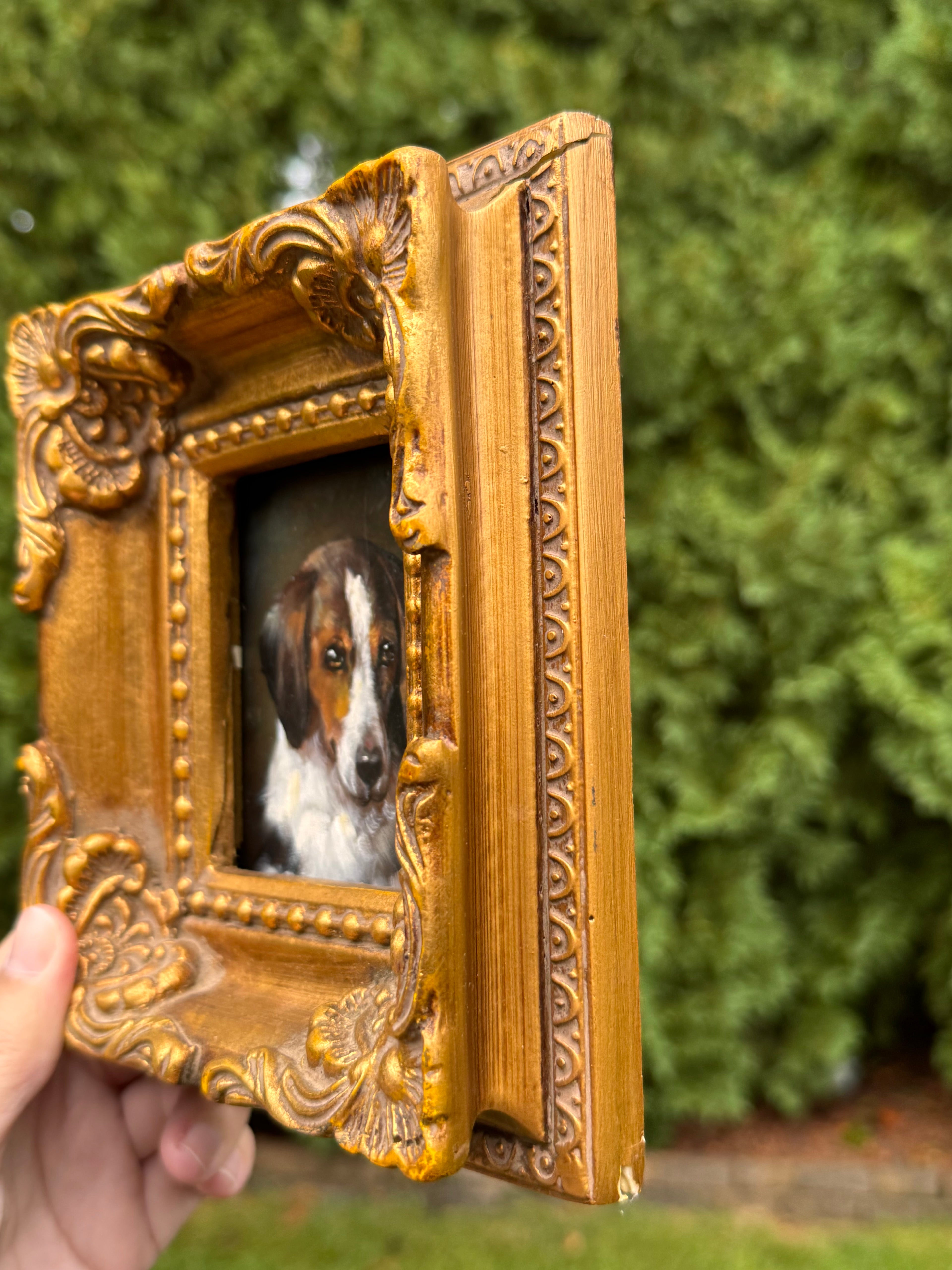 Original Oil on Board Dog Portrait in Ornate Gilt Wood Frame | Framed Hound Painting