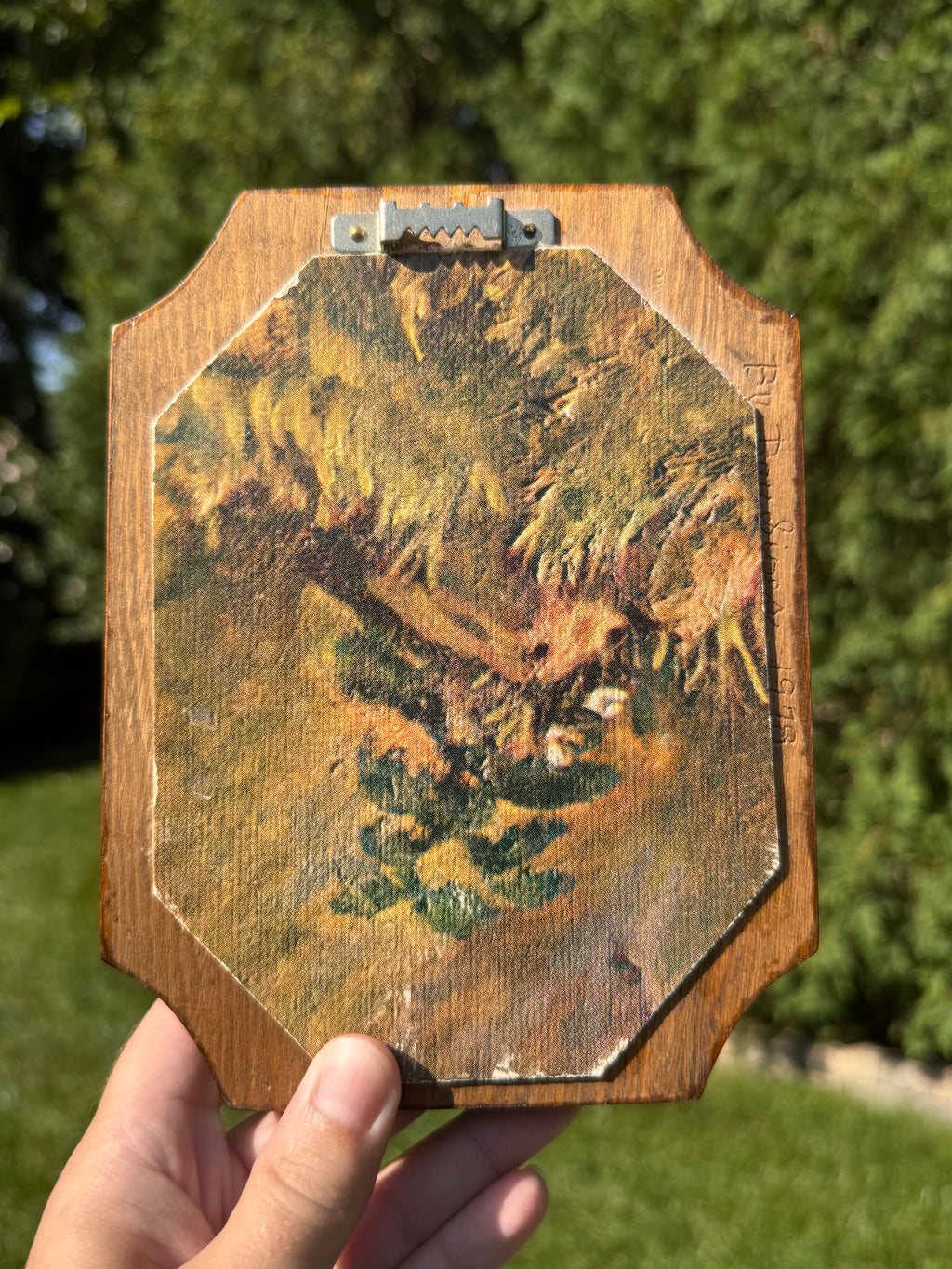 Vintage Convex Pressed Flower Wall Hanging