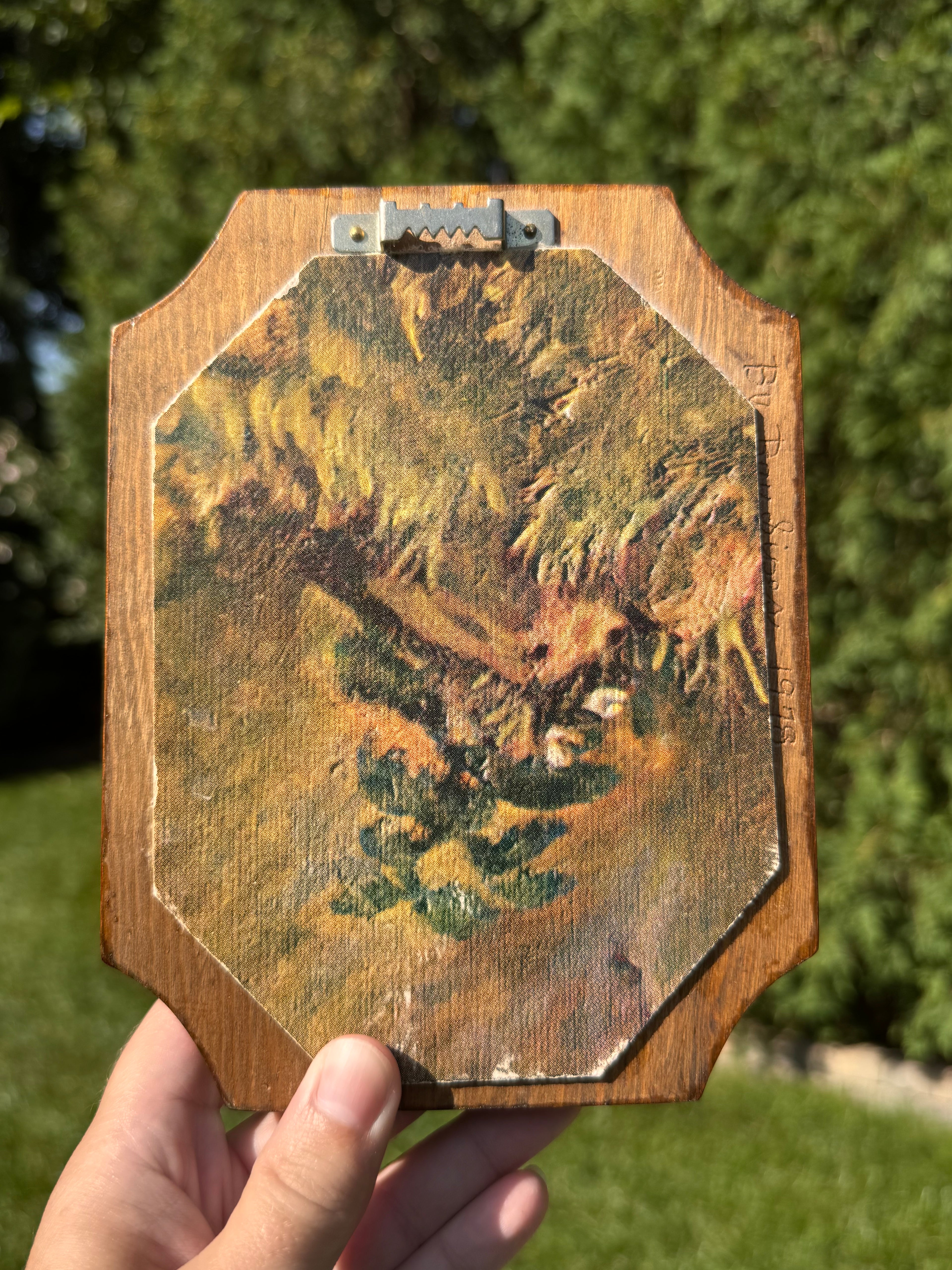 Vintage Convex Pressed Flower Wall Hanging