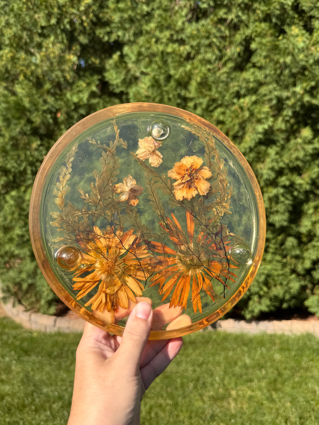 Vintage Pressed Flower Lucite Trivet