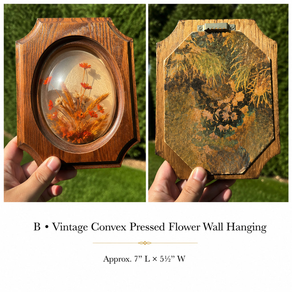Vintage Convex Pressed Flower Wall Hanging