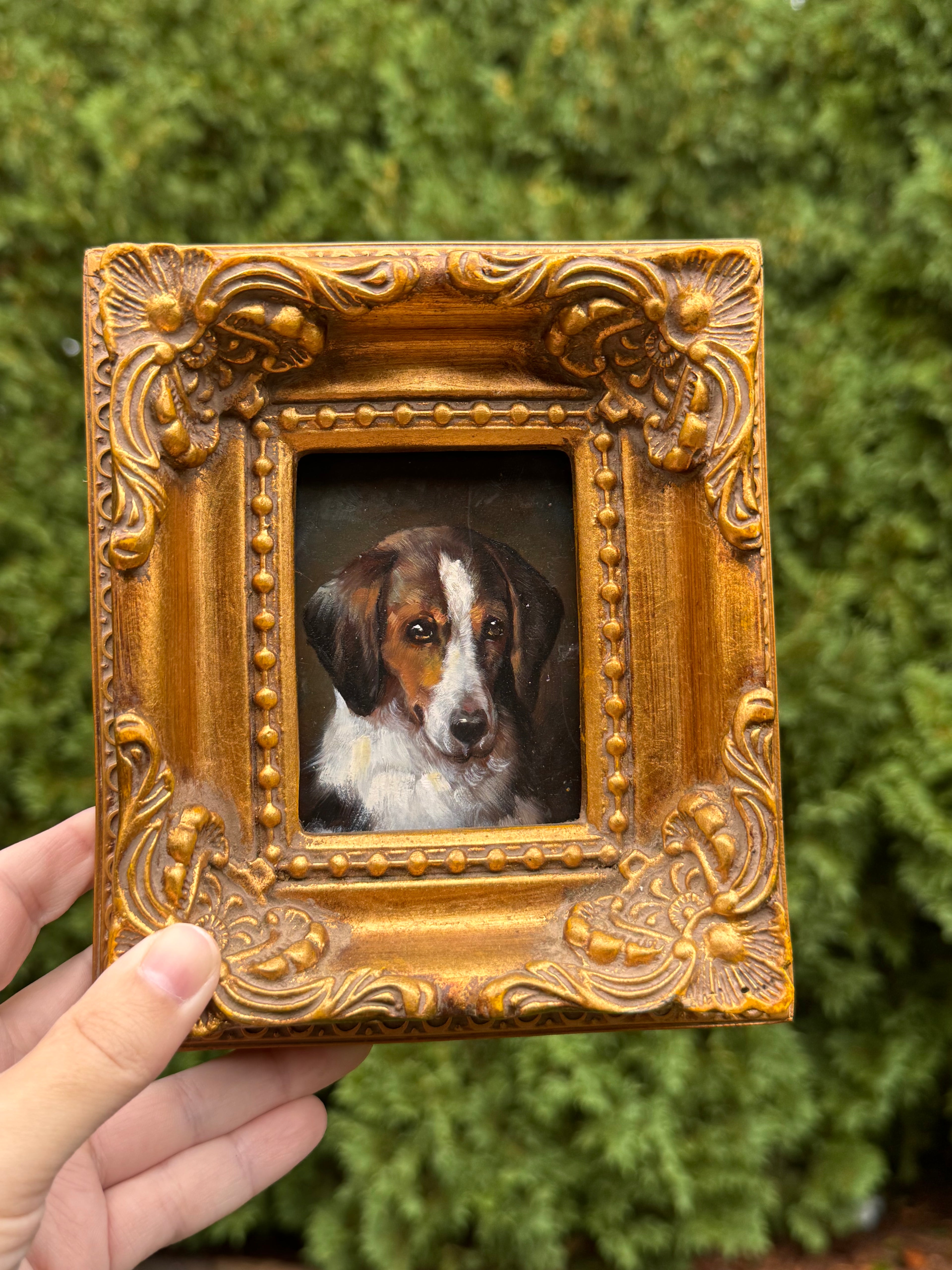 Original Oil on Board Dog Portrait in Ornate Gilt Wood Frame | Framed Hound Painting