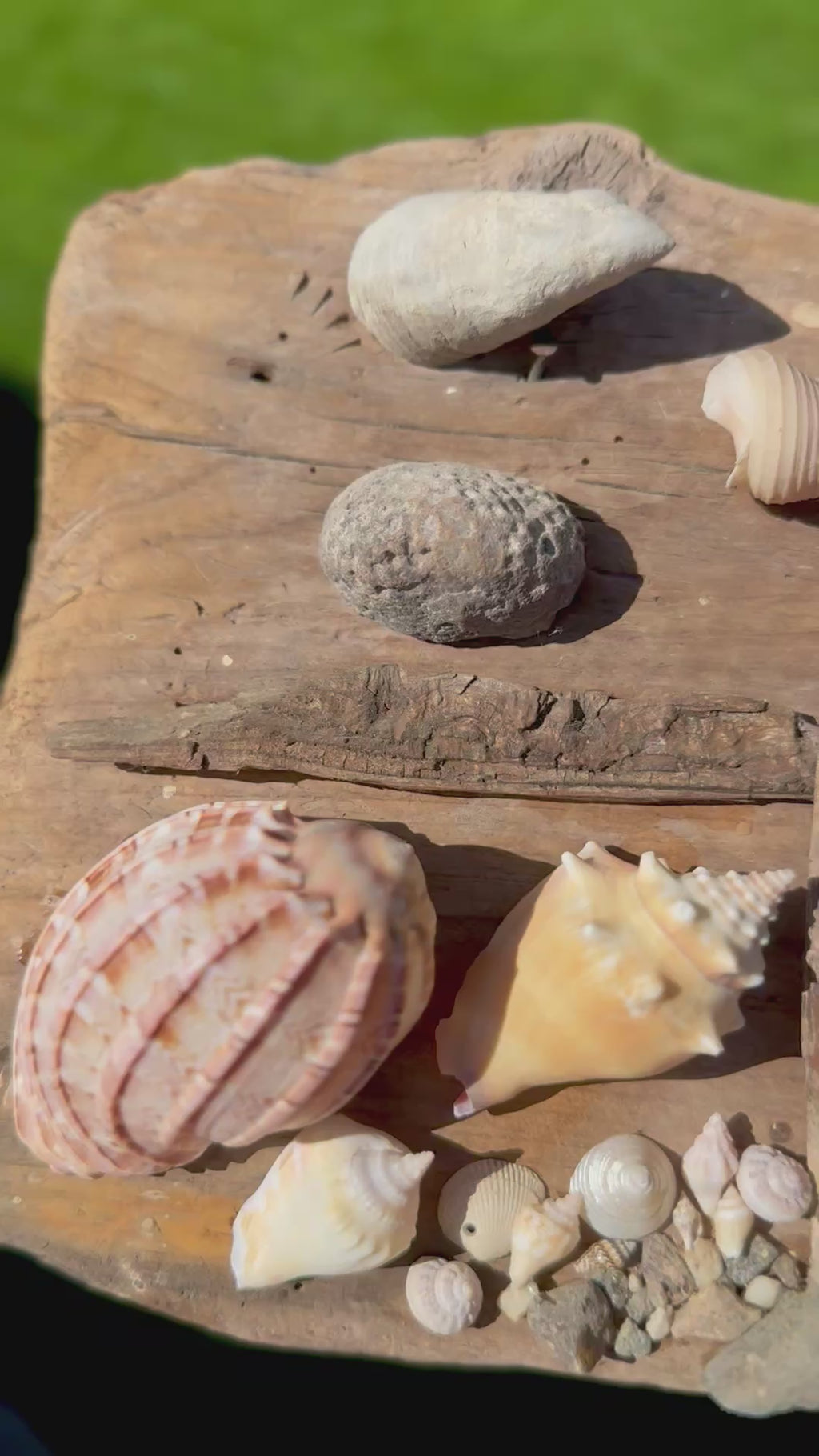 Handmade Coastal Folk Art Driftwood, Stone & Seashell Village Wall Sculpture