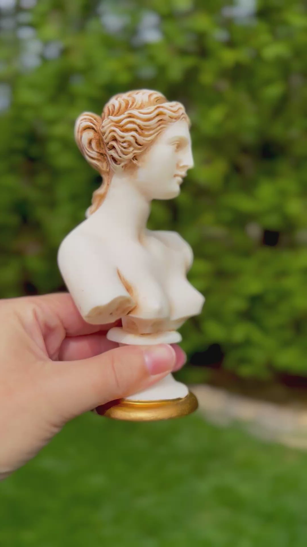 Venus de Milo Bust in Alabastrine with Original Tag