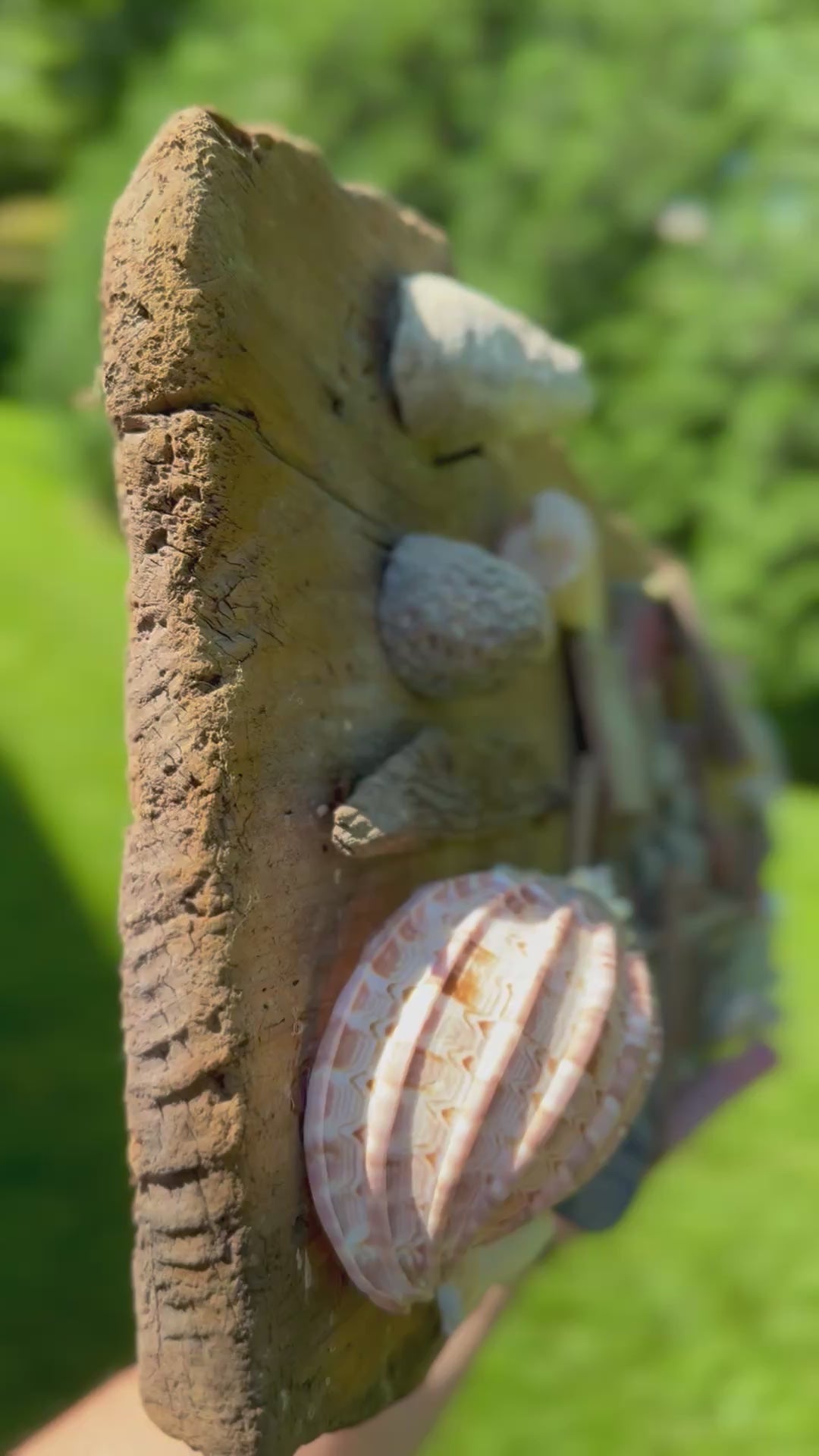 Handmade Coastal Folk Art Driftwood, Stone & Seashell Village Wall Sculpture